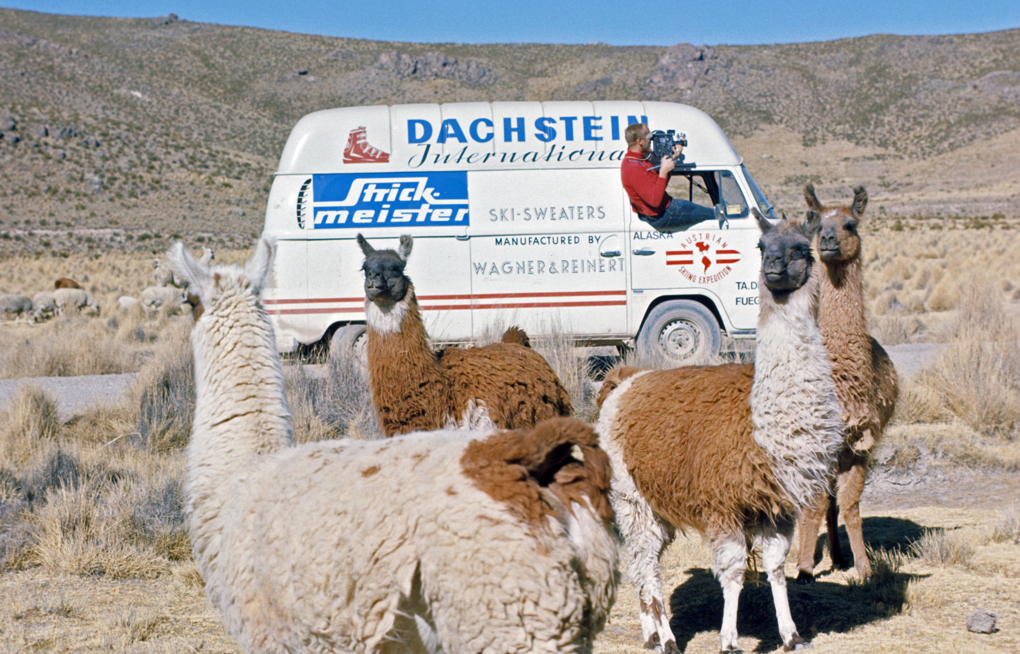 am Altiplano, Peru