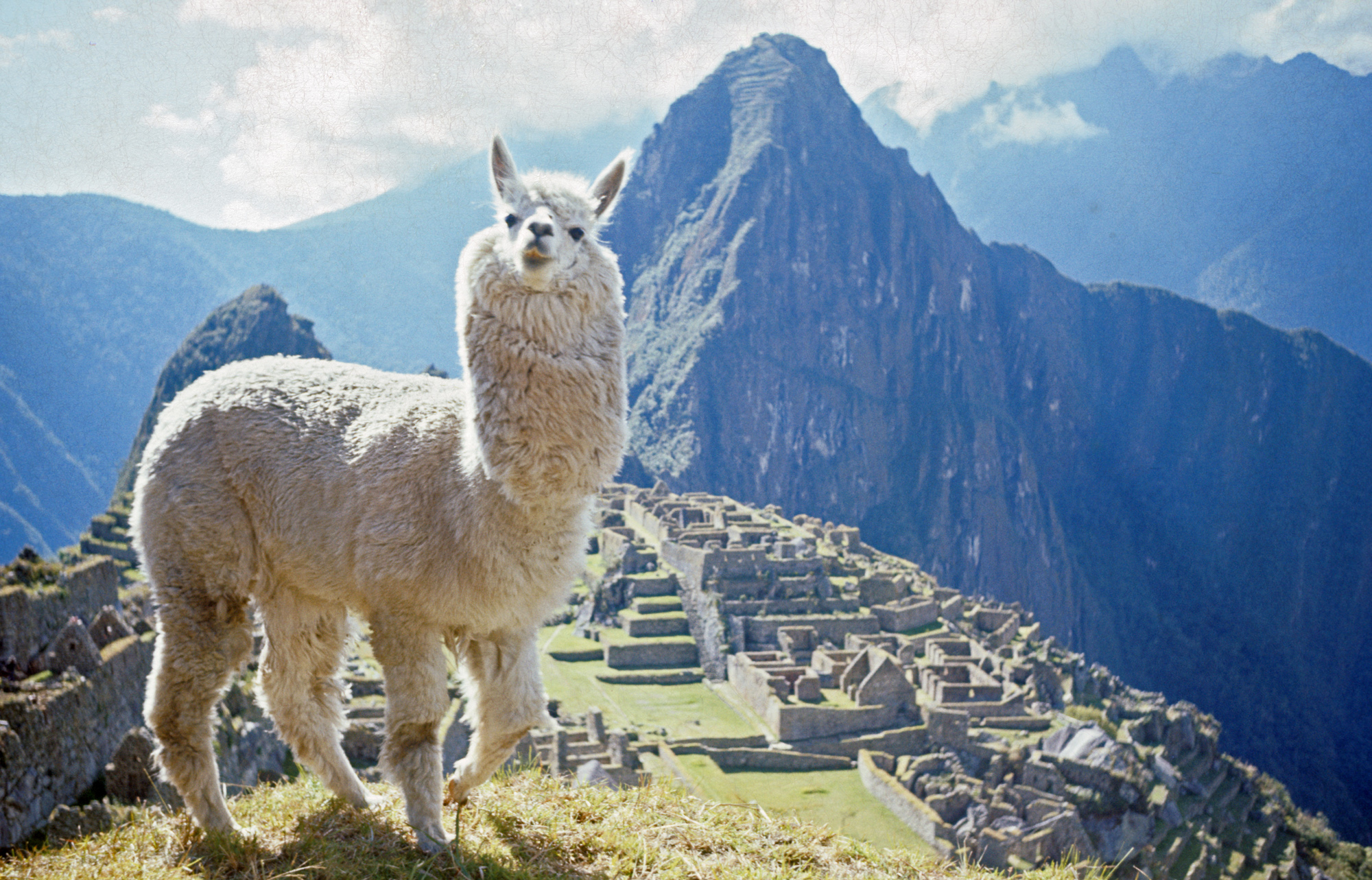 Machu Picchu, Peru