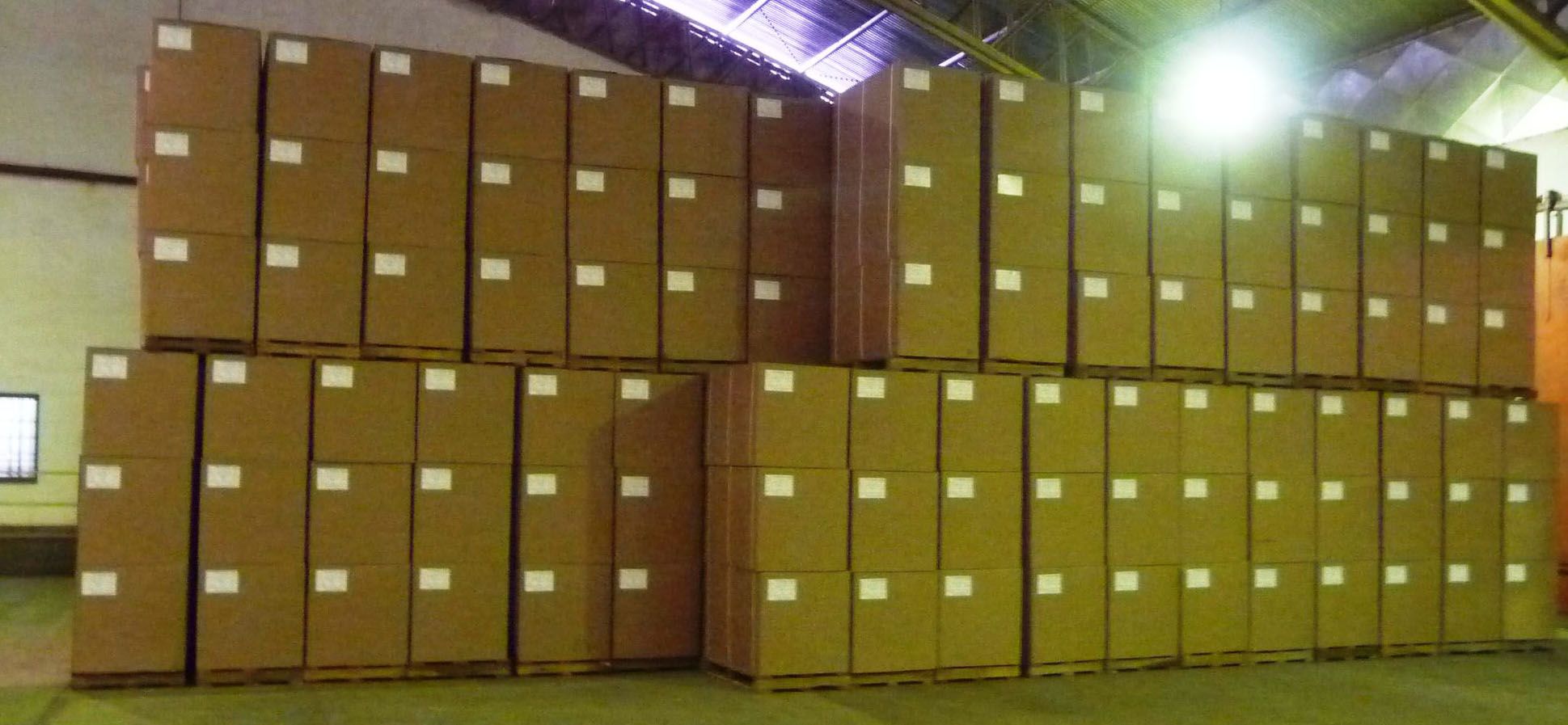 Cajas de hoja seca de Moringa Oleifera