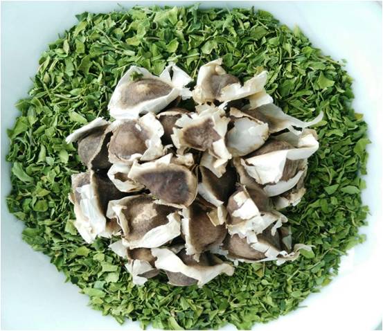 Semillas y hojas de moringa