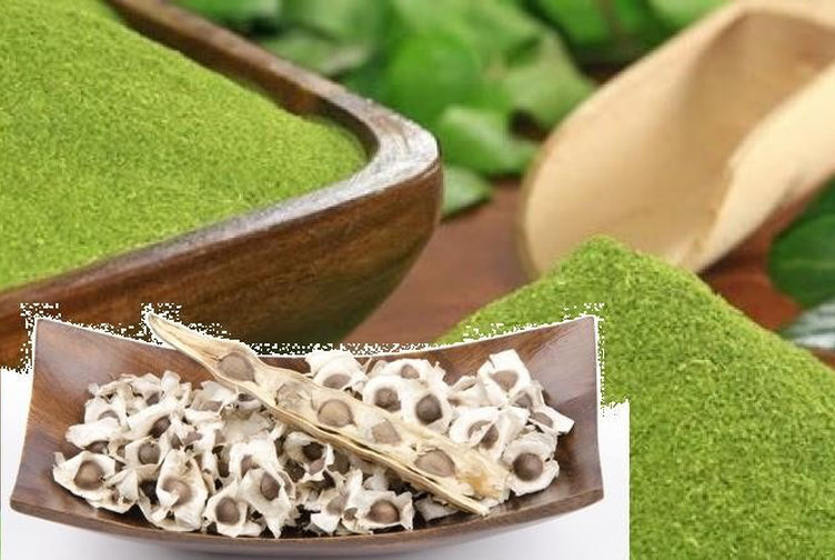 Semillas y polvo de moringa 