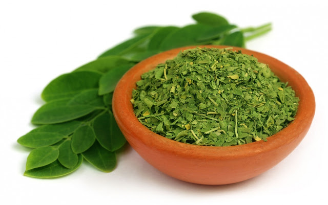 Hoja triturada de moringa