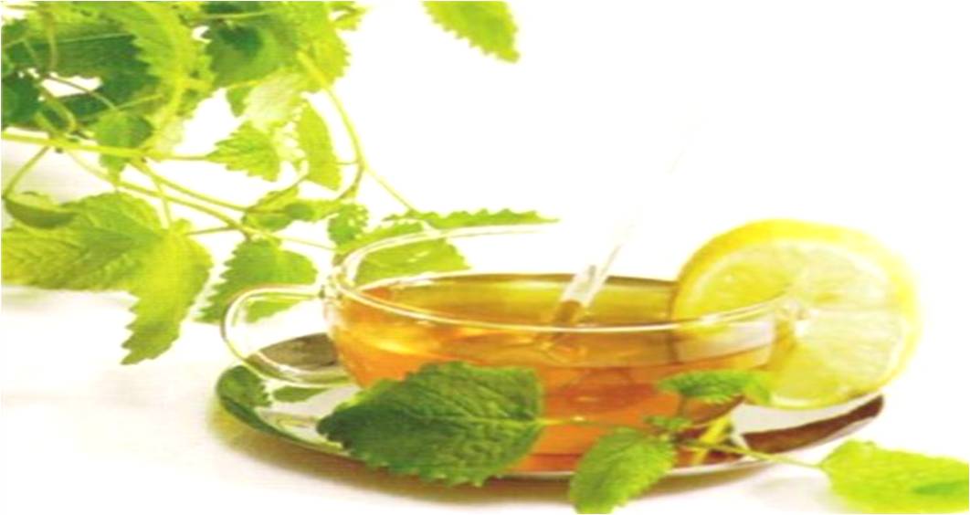 Infusión de moringa con Stevia  (caja con 25 sobres)