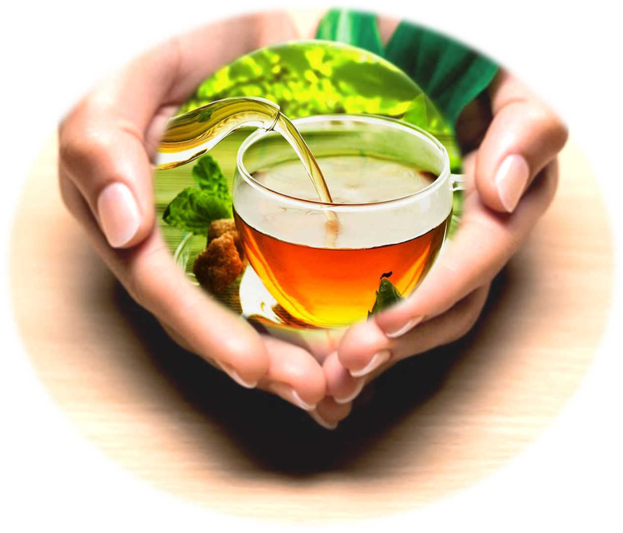 Té de moringa  (caja con 25 sobres)