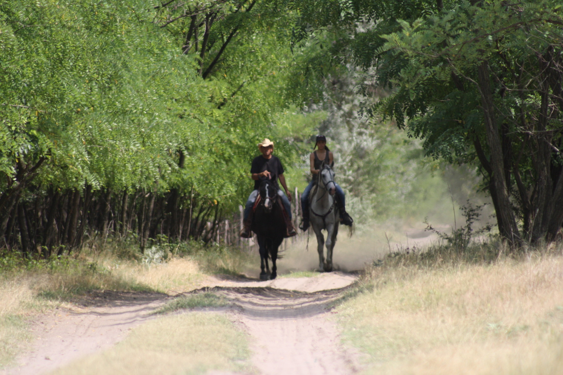 Indianisches Reiten - lakota-creek-ranchs Webseite!