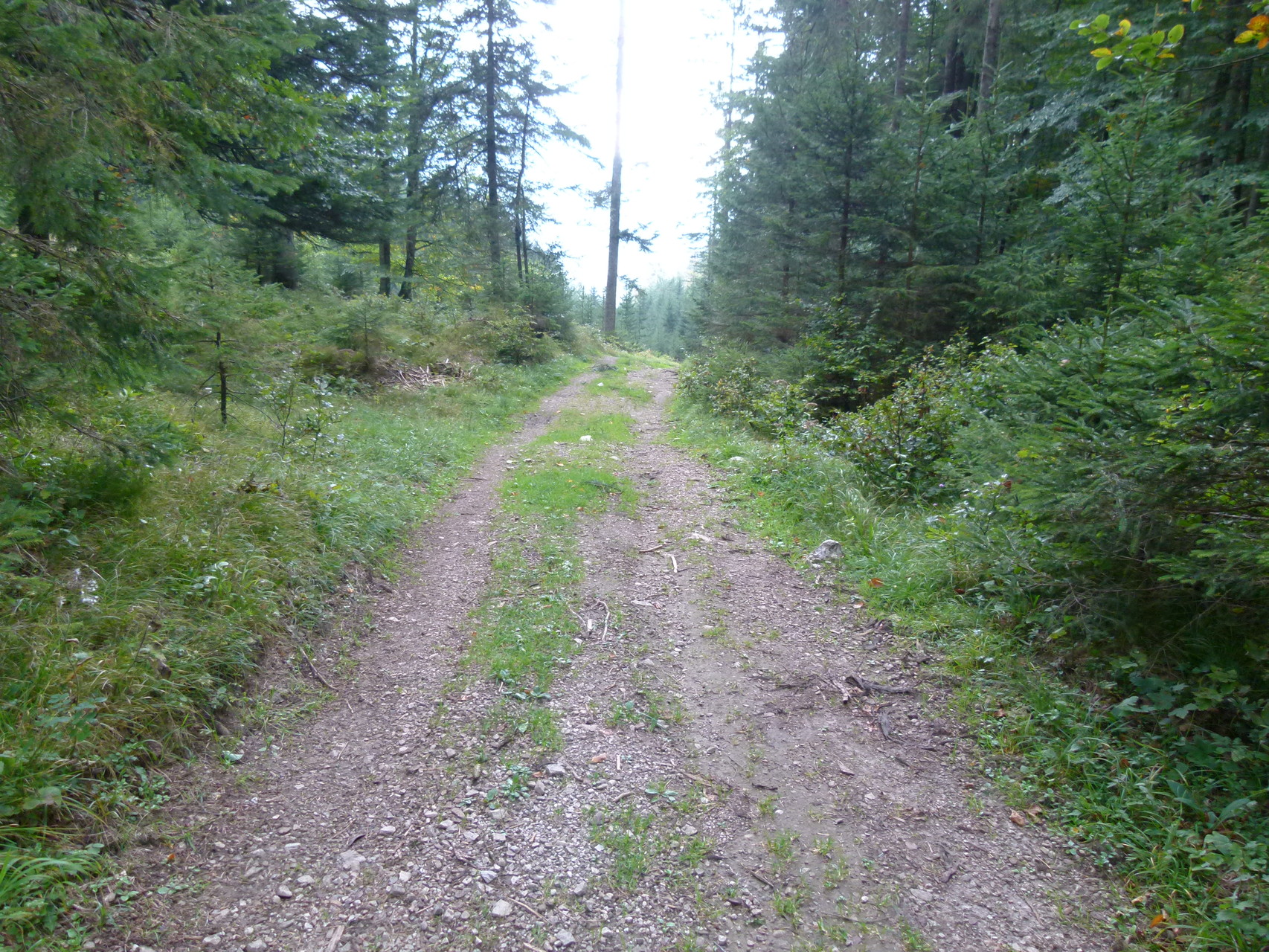 Die letzten Meter des Aufstiegs auf das Mäuerle