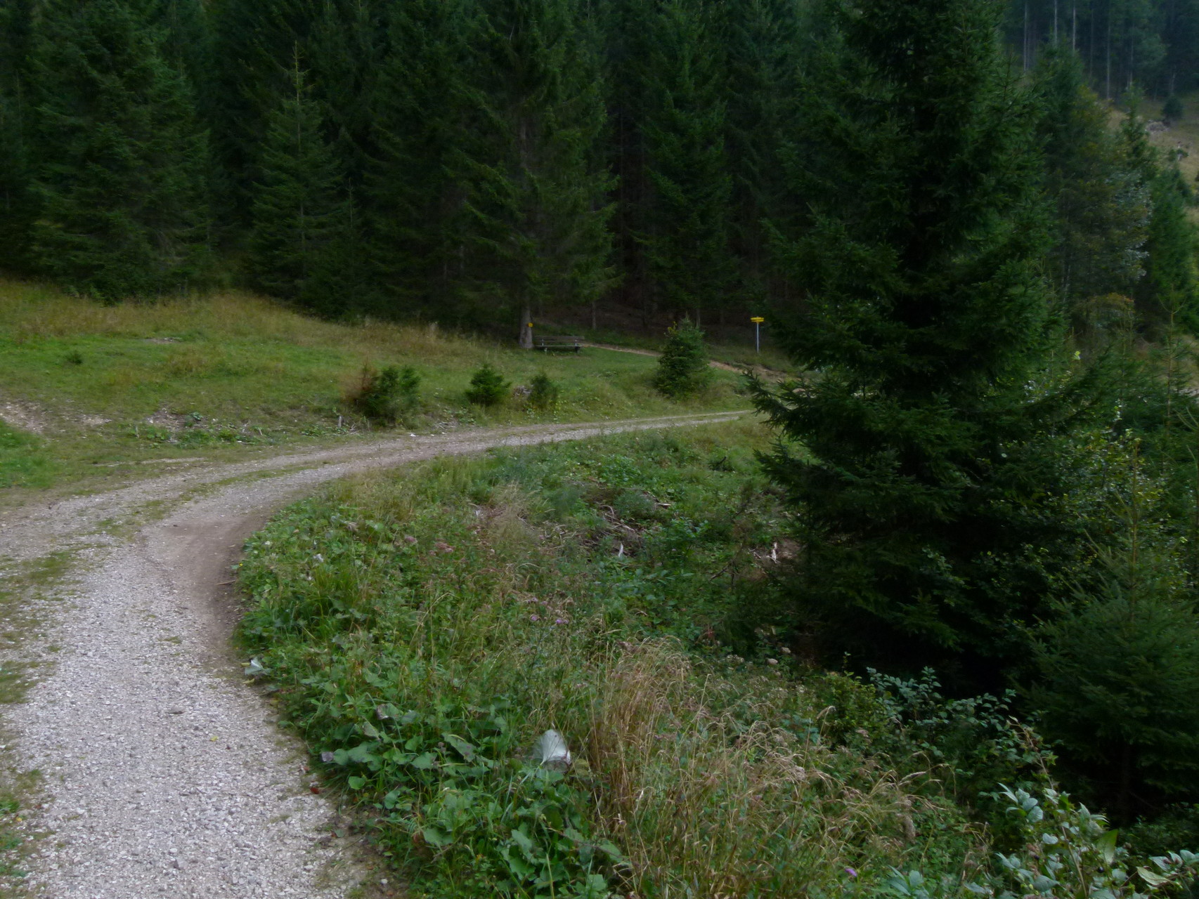 Die Abfahrt - fast die größte Freude bei einer Tour mit dem Rad'l