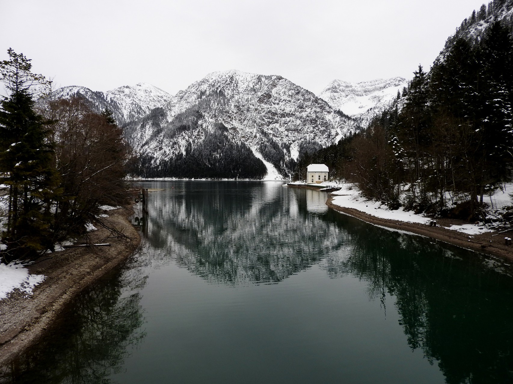 Blick auf den Plansee