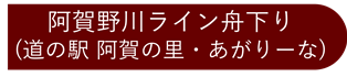 阿賀野川ライン舟下り