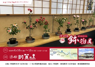 ツバキ鉢物展
