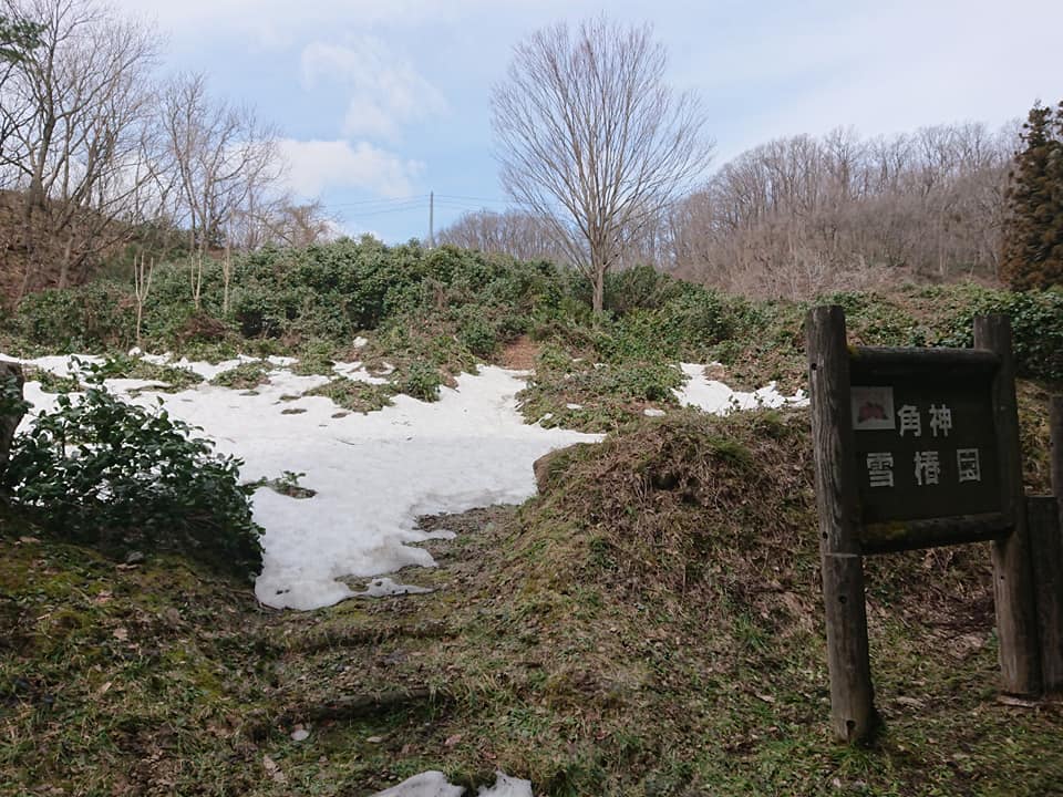 210319角神雪椿園001