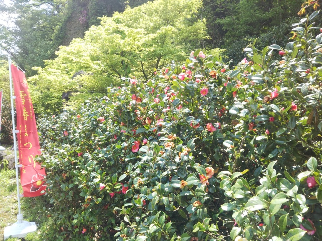 220502麒麟山いこいの森公園01