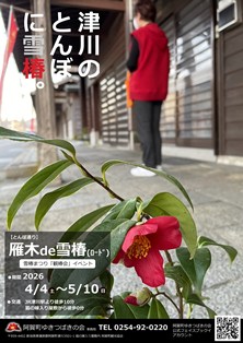 雁木de雪椿