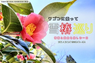 ワゴンに乗って雪椿巡り