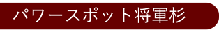 パワースポット将軍杉