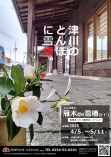 雁木de雪椿
