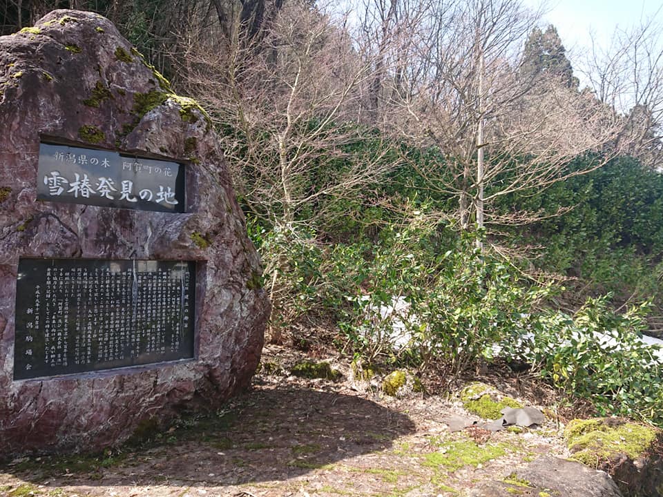 210329いこいの森公園001