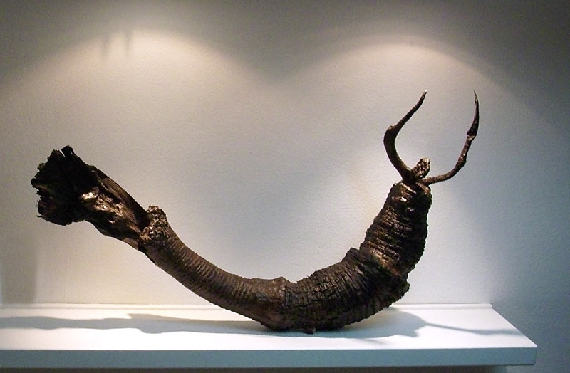 Metamorfósil, 2009, 72 x 130 x 20 cm