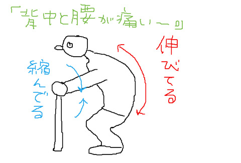 慢性の肩こり腰痛の原因は背筋！？