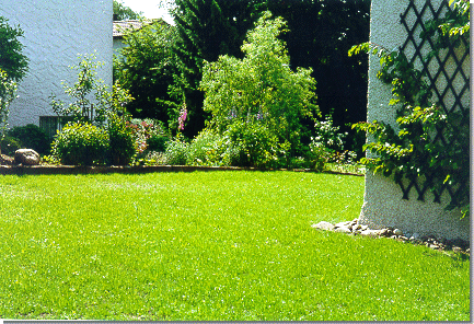 Dieser Garten wurde total saniert und der Rasen frisch angelegt. In den darauffolgenden Wochen wurden die Besitzer von uns beraten und betreut, damit dieses schöne Resultat lange Freude bereitete.