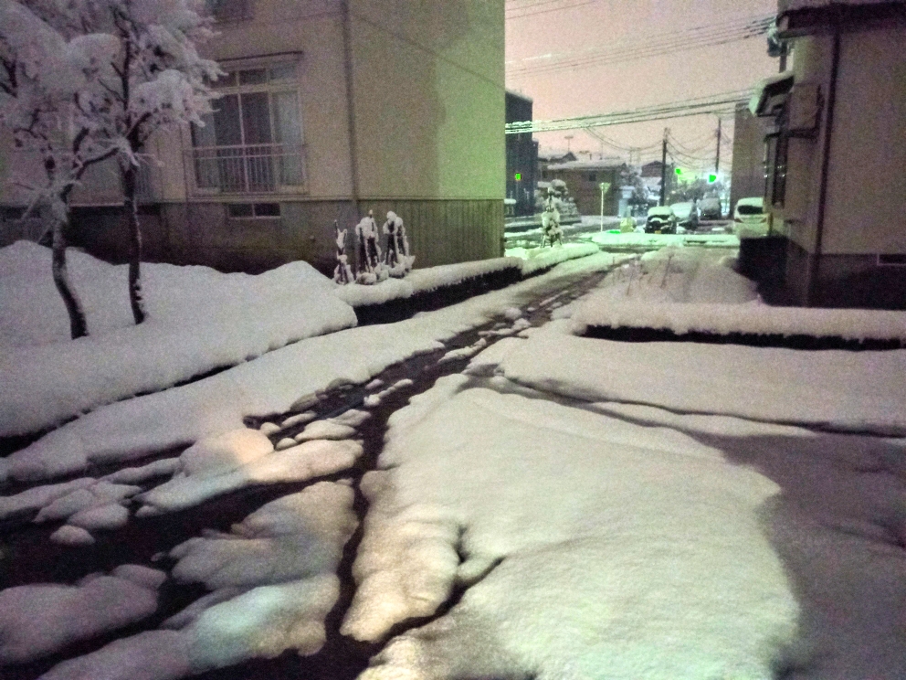 長岡市も15〜20cmほどの降雪