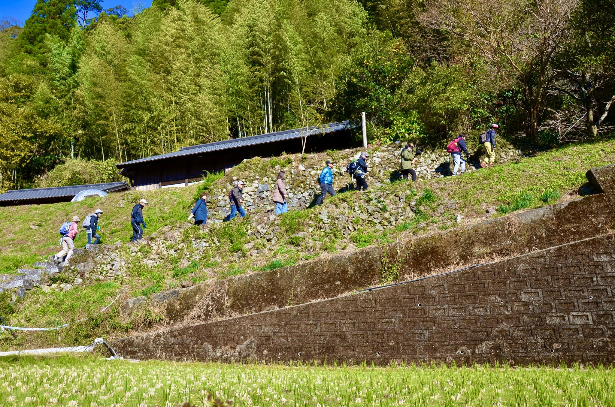 椎葉村