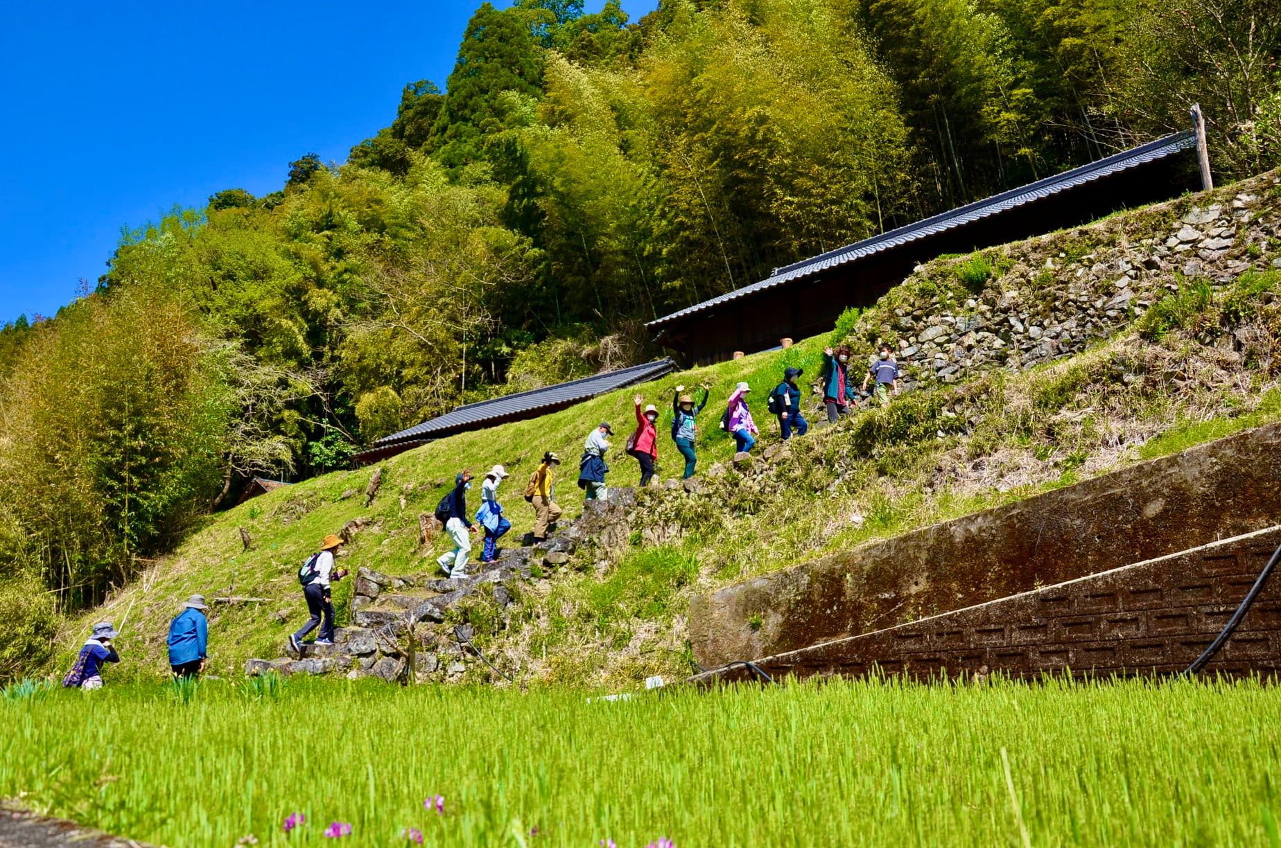 椎葉村