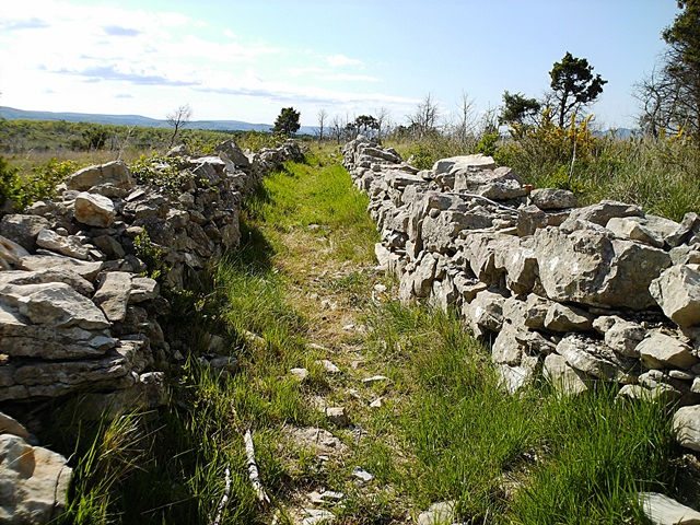 Chemins de randonnée 