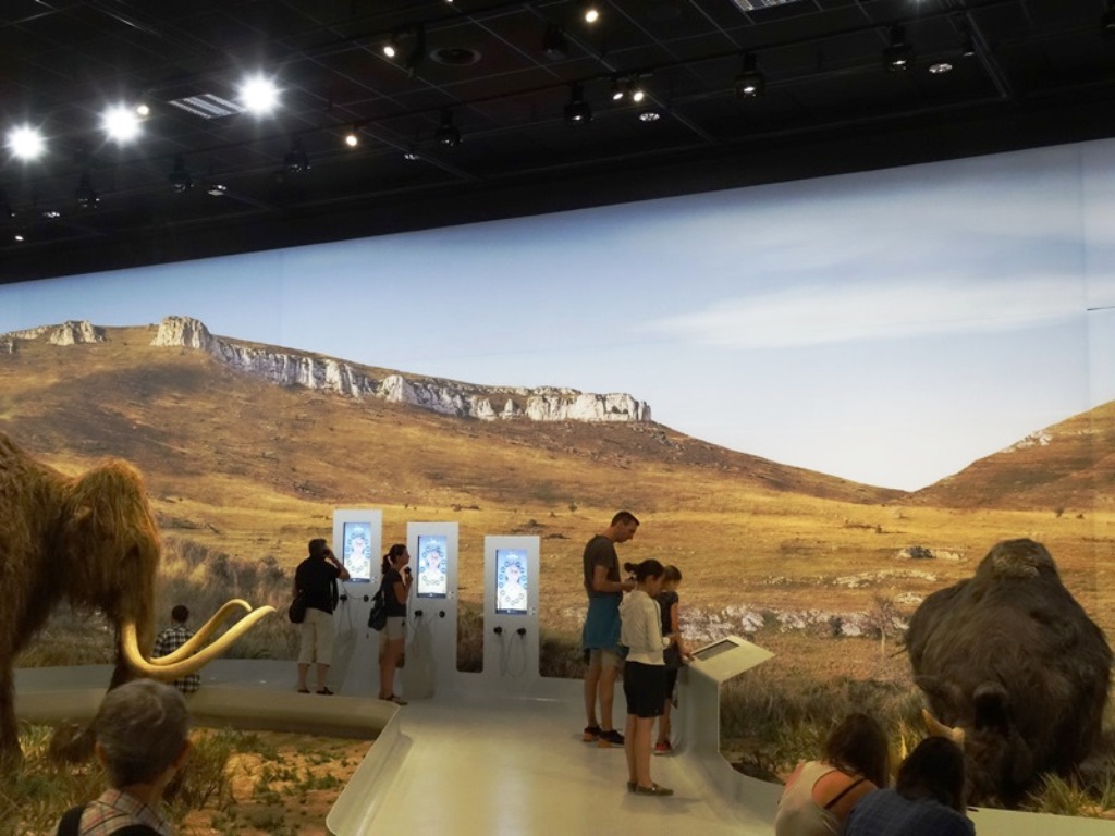 Galerie Aurignacien grotte Chauvet