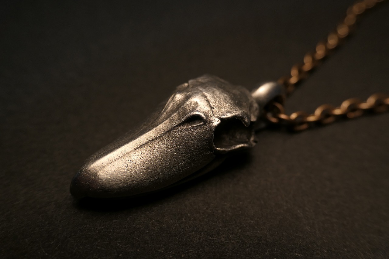 ハシビロコウ頭骨（S） - skulllaboratory