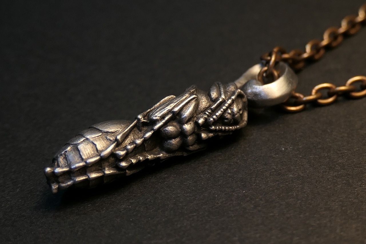 キアシナガバチ蛹 - skulllaboratory