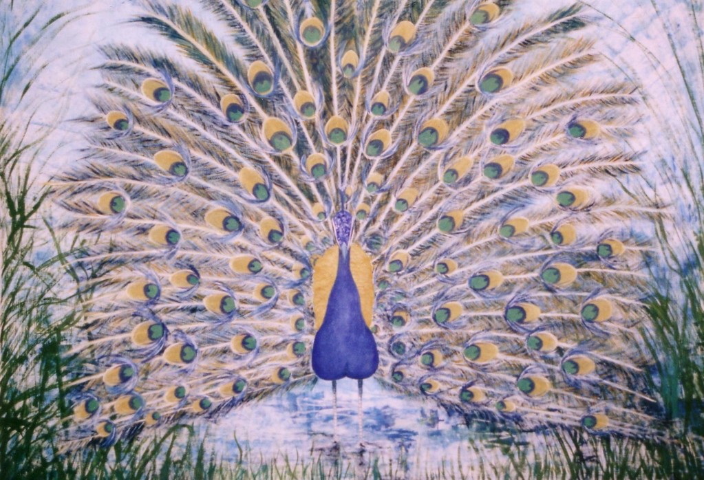 Pavone, 1998, olio su tela, 129x143