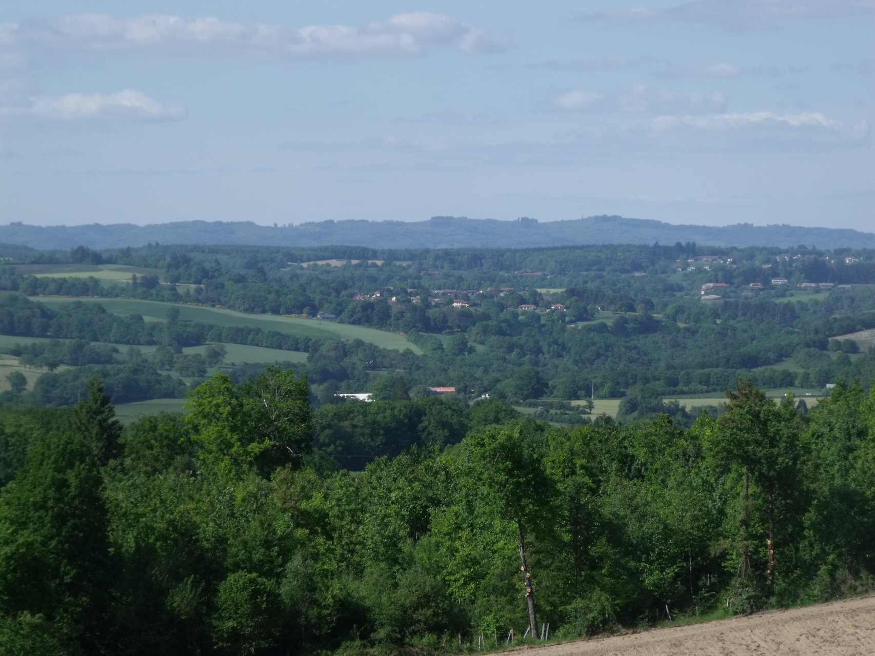 Paysage limousin l'été