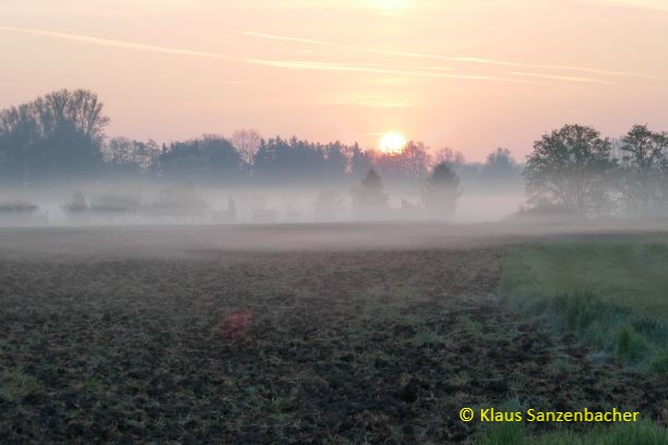 Bayerns Natur ist wunderschön und einzigartig. Morgenimpressionen von einer LBV-Exkursion