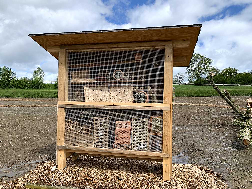 Insektenhotel steht