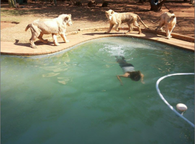 Review of Buntle Ba Volunteer Project - July 2014