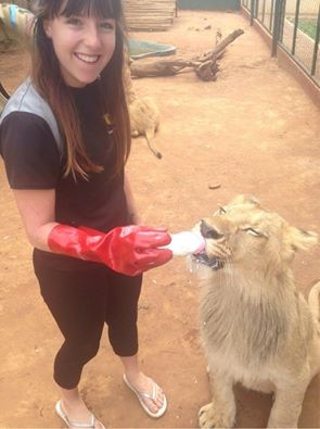 feeding time at Buntle Ba Project with Africa Volunteer Adventures