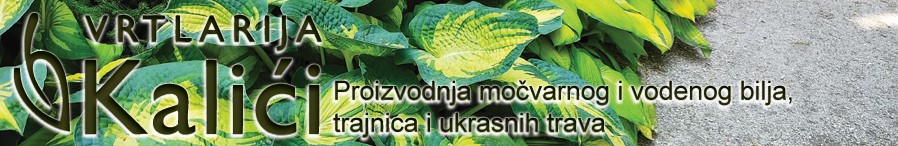 Vrtlarija Kalići