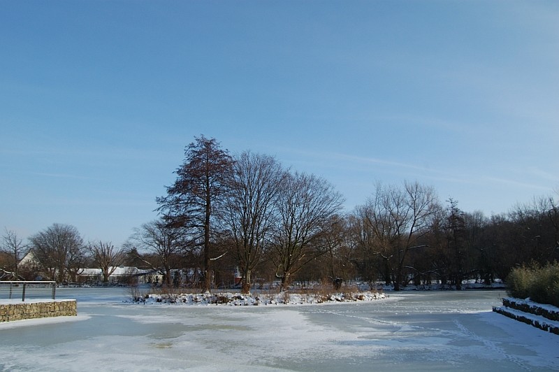 16. Januar 2010 im verschneiten oelder Park