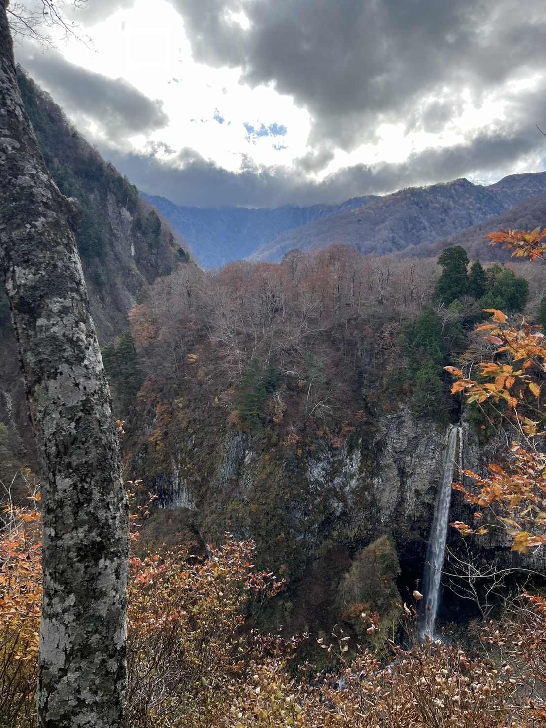 残念ながら紅葉終わってしまっていました。　