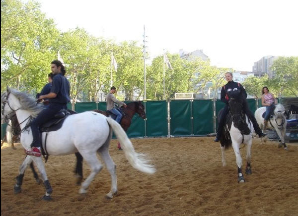 Hilfe beim WarmUp der Trickreiter, Apassionata Lissabon