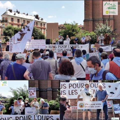 Respresentació de IPCENA-EdC  a Tolosa (Occitània francesa) donant suport a la manifestació a favor dels óssos al Pirineu