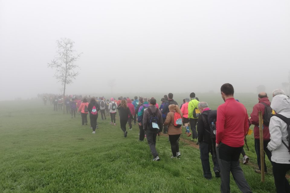 Més de 400 persones gaudeixen de la primera Marxa Natura