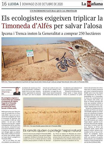 Els ecologistes exigeixen triplicar la Timoneda d’Alfés per salvar l’alosa becuda