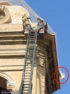 Atrapades tres cigonyes a la catedral nova de Lleida