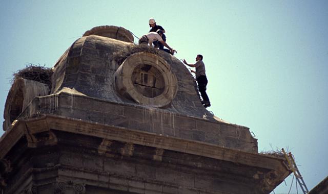 L’entitat ecologista Ipcena denuncia la retirada dels nius de cigonyes de la Catedral Nova de Lleida