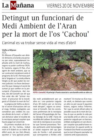 Un agent del Mièi Ambient del Conselh Generau d'Aran, detingut per la vinculació amb la mort de l'ós Cachou