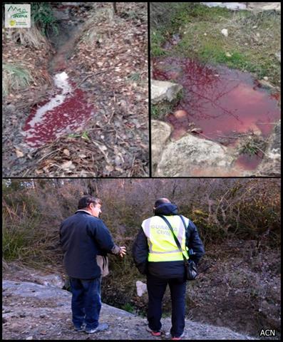 Gravíssim abocament d’aigües residuals amb sang d’animals sacrificats a l’antic escorxador de Navès al Solsonès