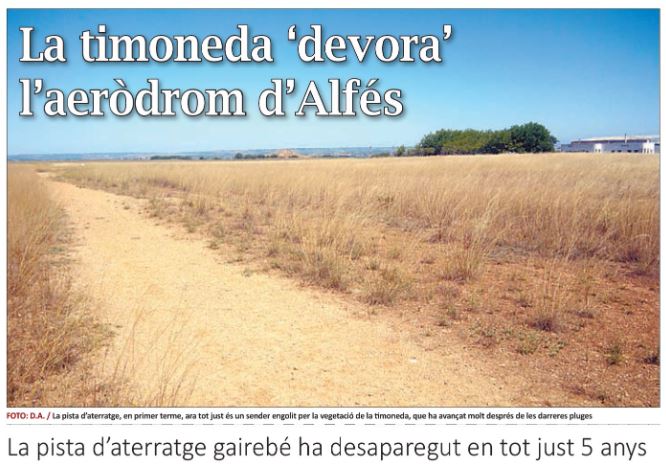 La timoneda 'devora' l'aeròdrom d'Alfés