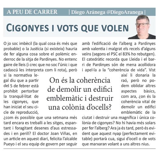 Cigonyes i vots que volen